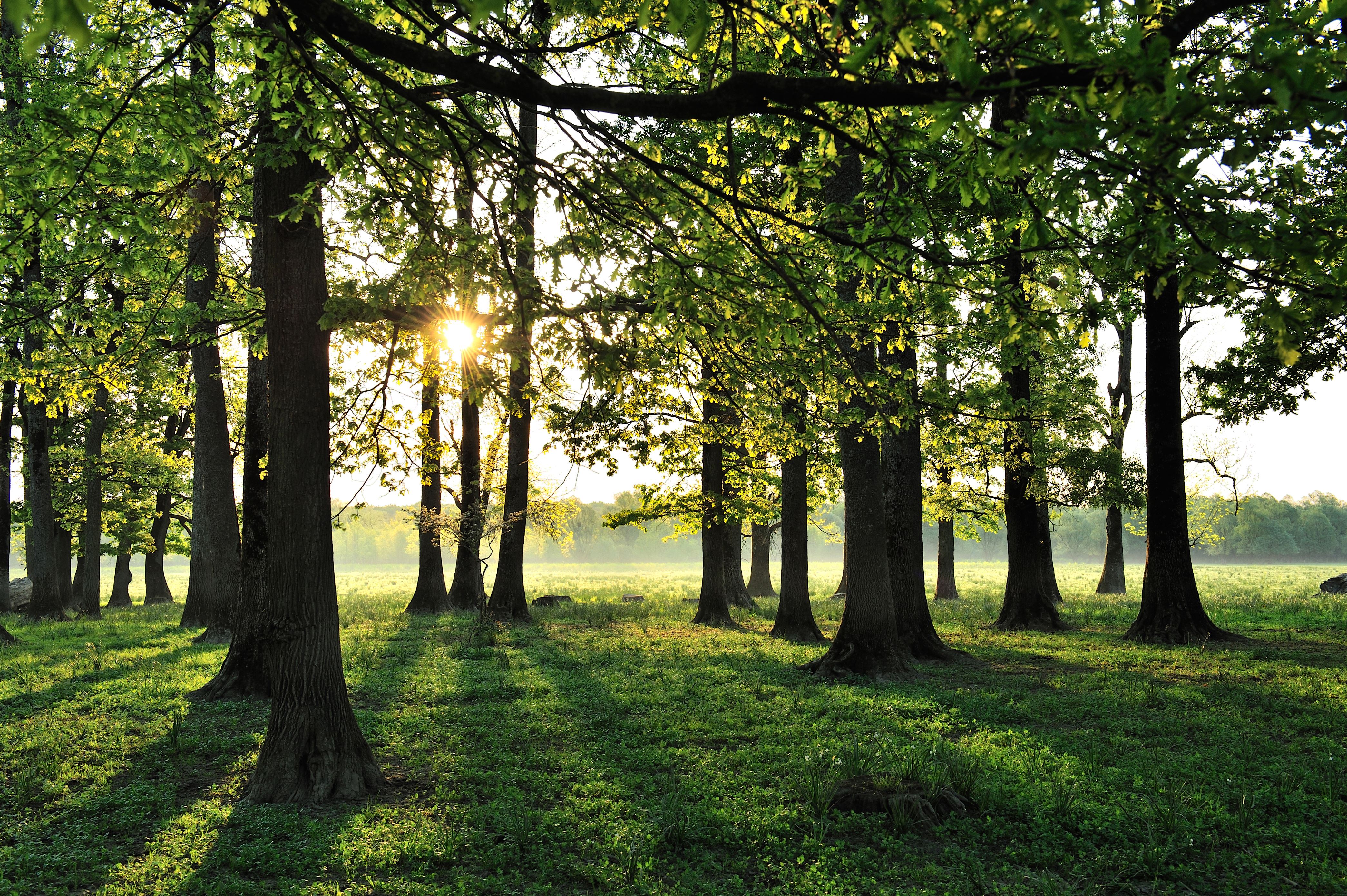 Visit Ivanić-Grad | Ivanić Grad